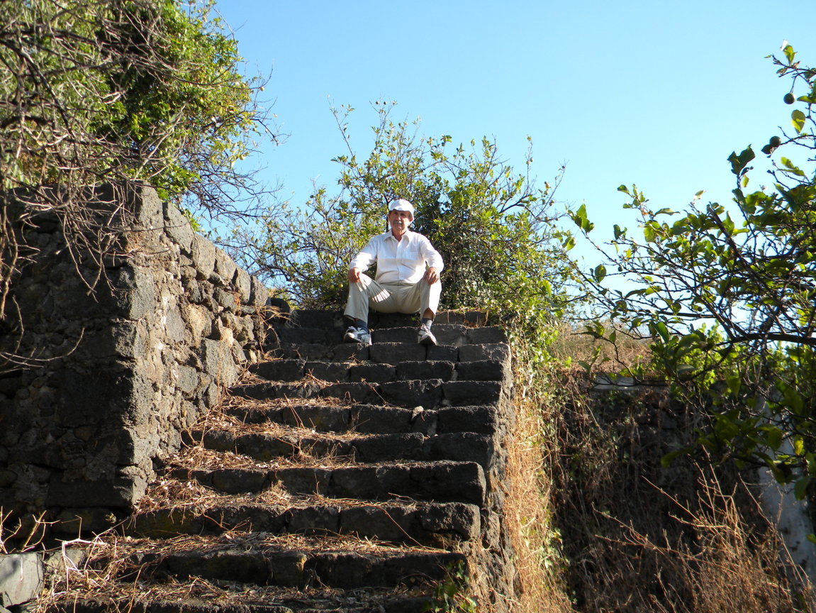 DSCN8085 .JPG